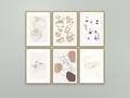 Cocina Collection